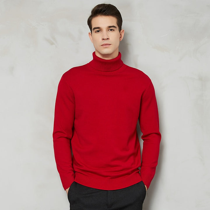 8 Color Turtleneck Sweater