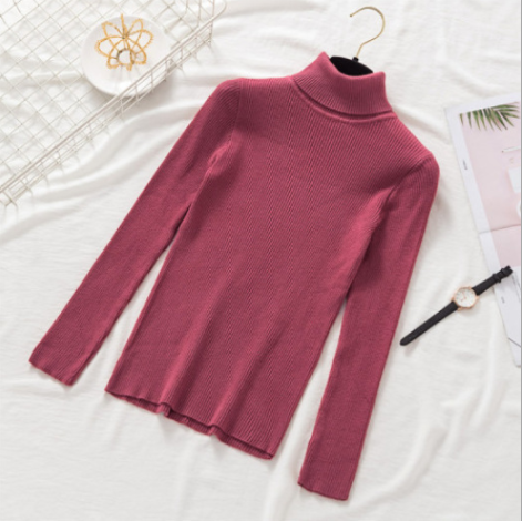 Pullover Women Knitted Turtleneck Sweater