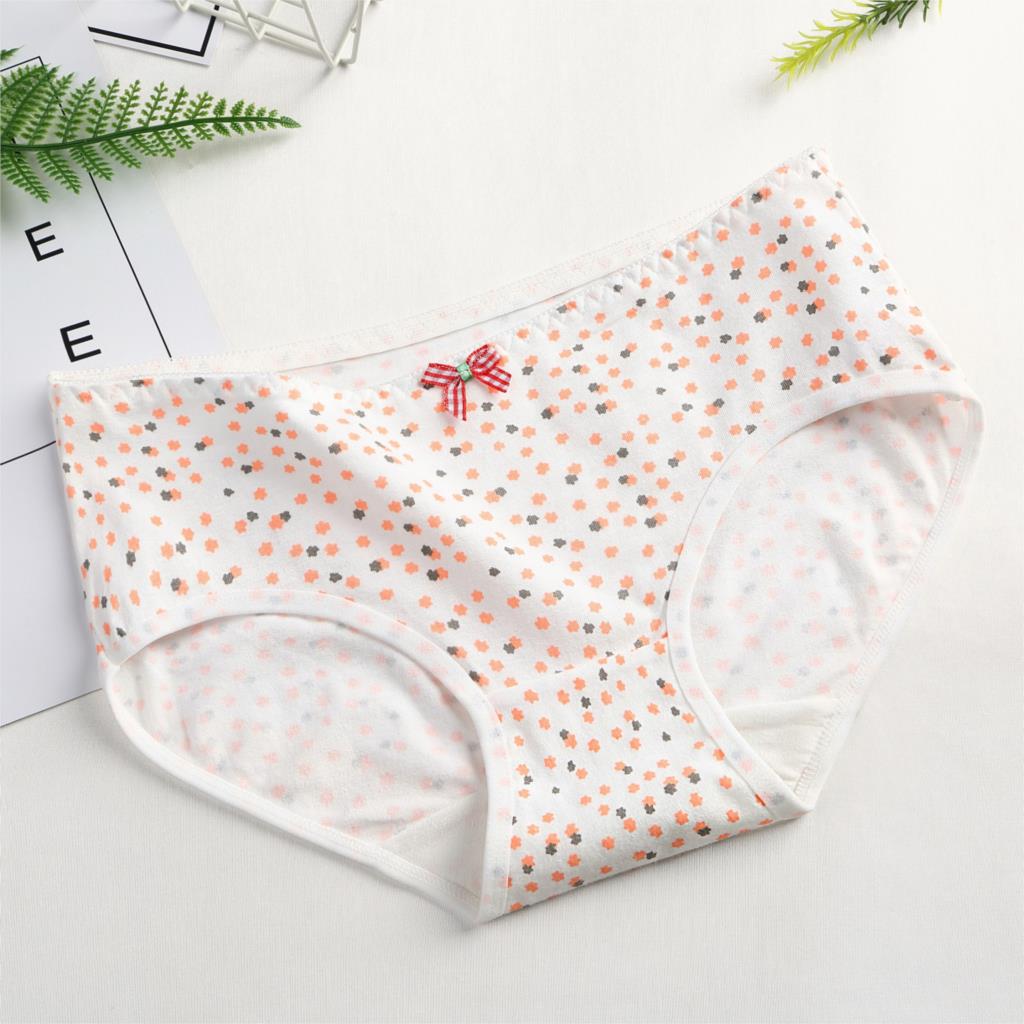 Set of 2 Cotton Panties