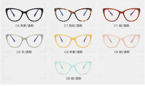 Spectacle Frame Women Eyeglasses